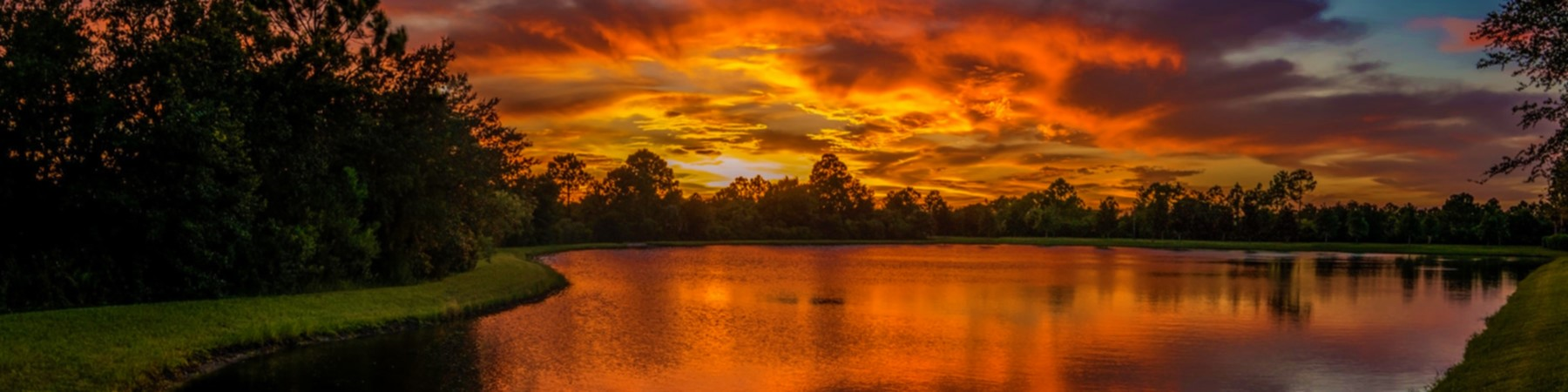 images/Florida_Banner.png